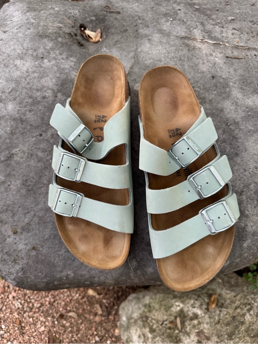 Papillo by Birkenstock Florida III Pap Flex Platform in Pure Sage